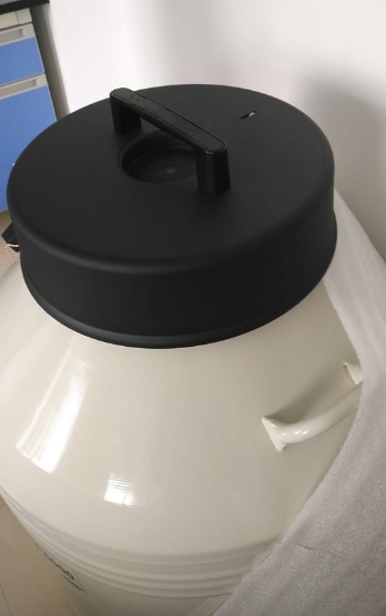 進口液氮罐 進口液氮罐